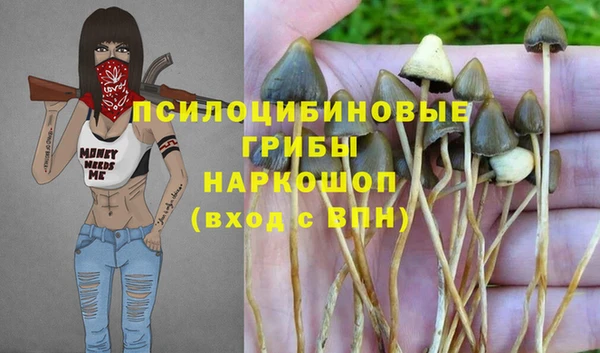 хмурый Дмитриев